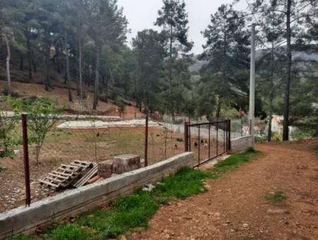 Köyceğinz Agla Yayla Opportunity 1050 M2 Zoning Land For Sale