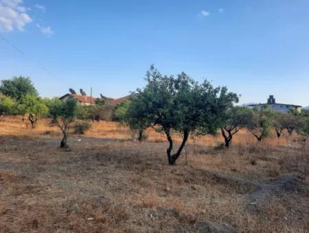 1080 M2 Zoning Land For Sale In Köyceğiz Toparlar