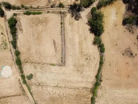 Mugla Menteşe Denizova 1869 M2 Bargain Field For Sale