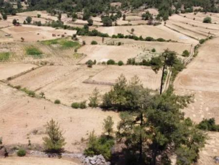 Mugla Menteşe Denizova 1869 M2 Bargain Field For Sale