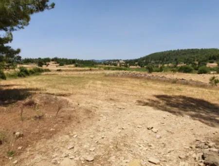 Mugla Menteşe Denizova 1869 M2 Bargain Field For Sale