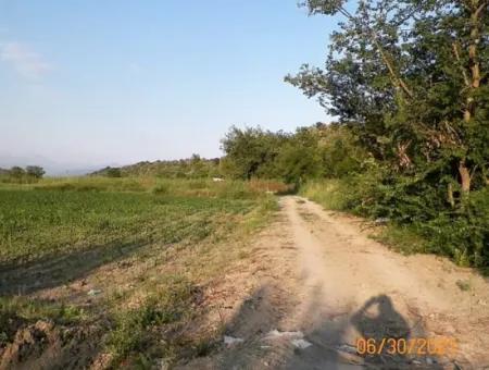 10 000 M2 Fertile Land For Sale In Mugla Ortaca Mergenli