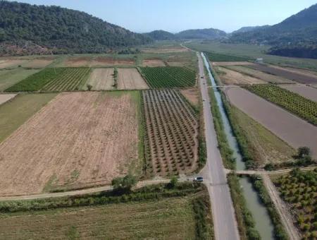 For Sale Land Guzelyurt Ta Oriya, Bargain 9726 M2