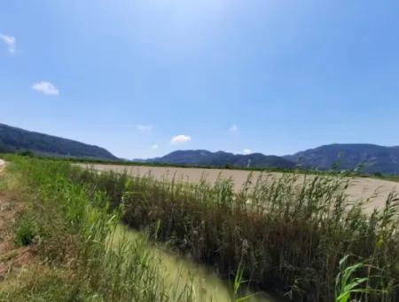 Fertile Land For Rent In Ortaca Güzelyurt