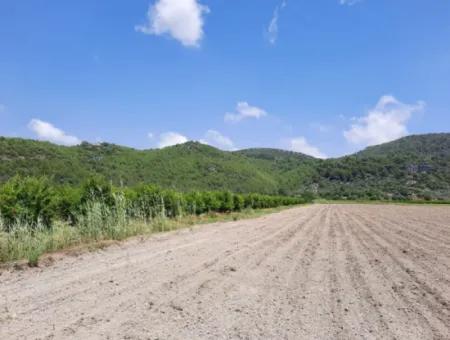 Fertile Land For Rent In Ortaca Güzelyurt