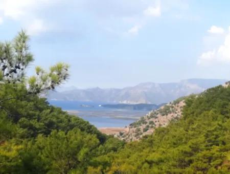 Mugla Dalyan Gökbel 320 M2 Bargain Land For Sale