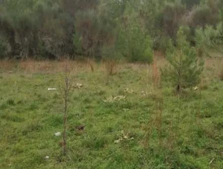 30949 M2 Fertile Field For Sale In Mugla Dalaman Gürleyik