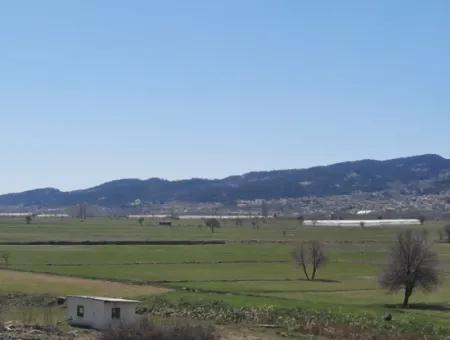 5.000 M2 Detached Land Suitable For Investment In Çameli Belevi For Sale