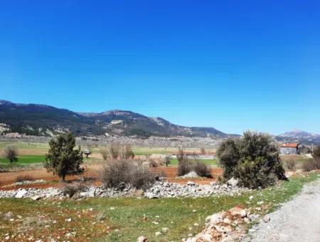 5.000 M2 Detached Land Suitable For Investment In Çameli Belevi For Sale