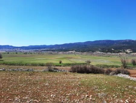 5.000 M2 Detached Land Suitable For Investment In Çameli Belevi For Sale