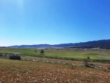 5.000 M2 Detached Land Suitable For Investment In Çameli Belevi For Sale