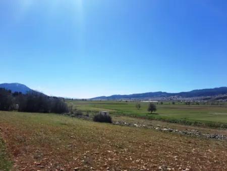 5.000 M2 Detached Land Suitable For Investment In Çameli Belevi For Sale