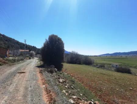 5.000 M2 Detached Land Suitable For Investment In Çameli Belevi For Sale