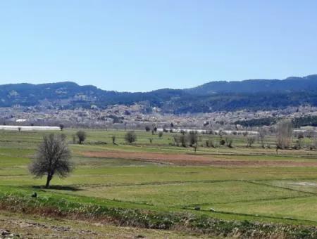 5.000 M2 Detached Land Suitable For Investment In Çameli Belevi For Sale