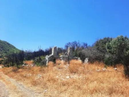 130.000 M2 Detached Land With Title Deed In Muğla Dalaman For Sale