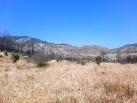 130.000 M2 Detached Land With Title Deed In Muğla Dalaman For Sale