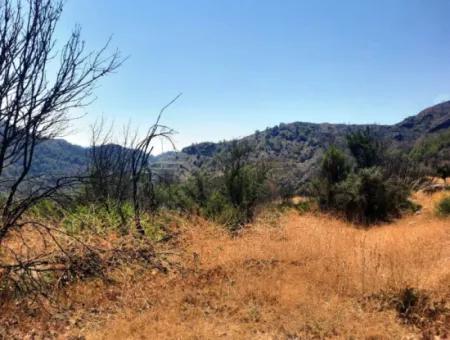 130.000 M2 Detached Land With Title Deed In Muğla Dalaman For Sale