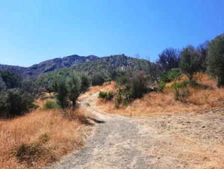 130.000 M2 Detached Land With Title Deed In Muğla Dalaman For Sale