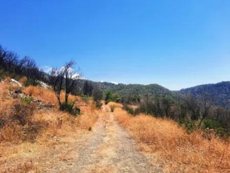 130.000 M2 Detached Land With Title Deed In Muğla Dalaman For Sale