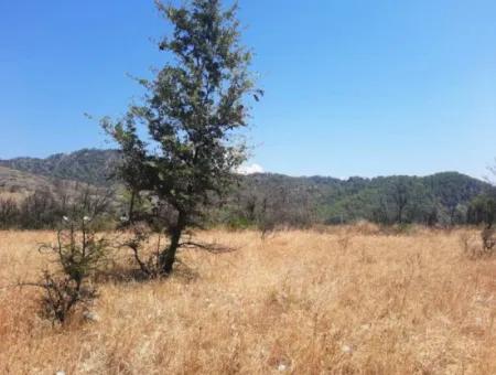 130.000 M2 Detached Land With Title Deed In Muğla Dalaman For Sale