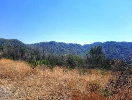 130.000 M2 Detached Land With Title Deed In Muğla Dalaman For Sale