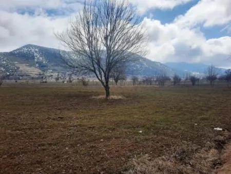 Denizli Çameli Belevi De 358 M2 Detached Deed Field Hobby Garden For Sale