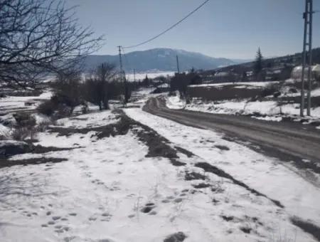 407 M2 Detached Title Deed Land In Denizli Çameli New Deposit