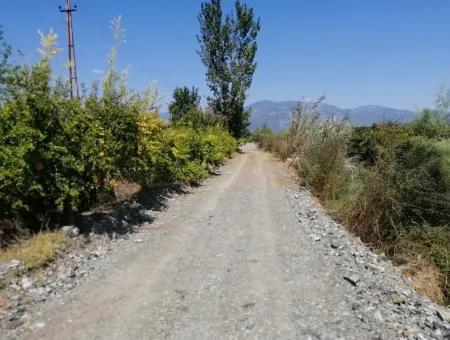 Pomegranate Garden For Sale In Mugla Ortaca Tepearasi