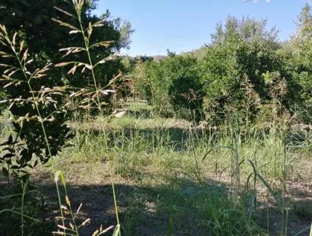 Plot For Sale In Ortaca On The Road To Zero