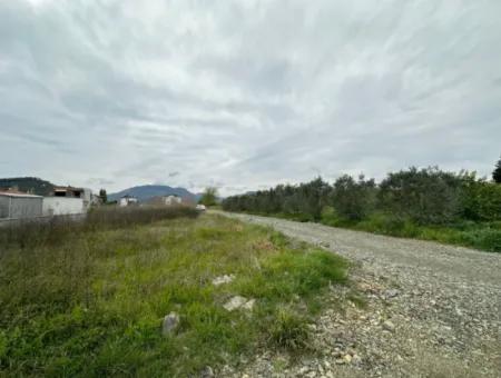 306 M2 Land For Sale In Muğla Ortaca Fevziye