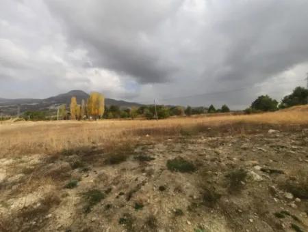 6 230 M2 Fertile Land For Rent In Çameli Cumaalanı