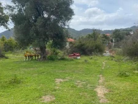 541 M2 Detached Land For Sale In Çandır, Muğla Köyceğiz