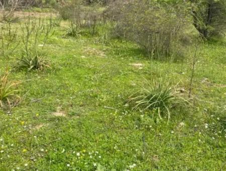 541 M2 Detached Land For Sale In Çandır, Muğla Köyceğiz