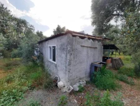 2 821 M2 Detached Land With Lake View In Köyceğiz Zeytinalanı Neighborhood Is For Sale