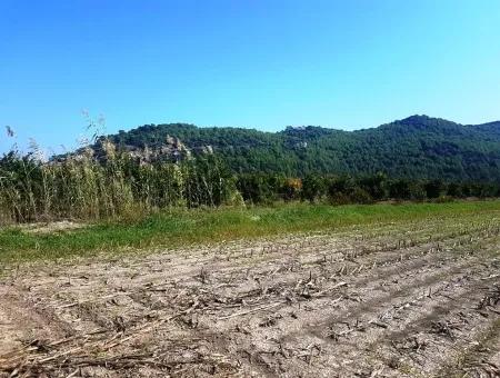 Region Of Fertile Land Rental