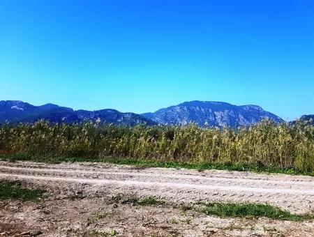 Region Of Fertile Land Rental