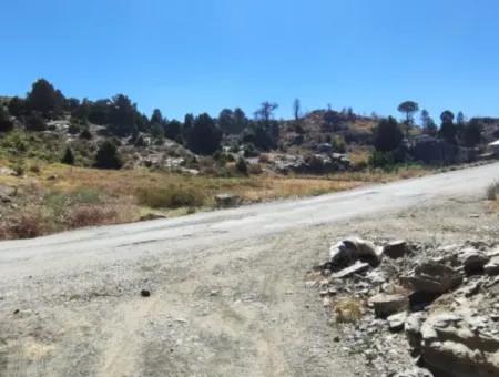 1.522M2 Field For Sale In Çövenli Plateau Of Muğla Köyceğiz Sazak Region