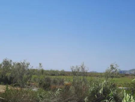 17,513 M2 Detached Land For Sale In Ortaca Dalyan, Muğla