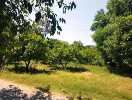 1000 M2 Stake Field For Sale In Ortaca Archers