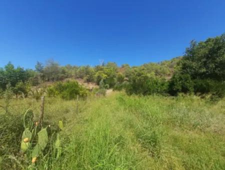 Muğla Ortaca Çaylıda 600 M2 Residential Zoned Bargain Land For Sale