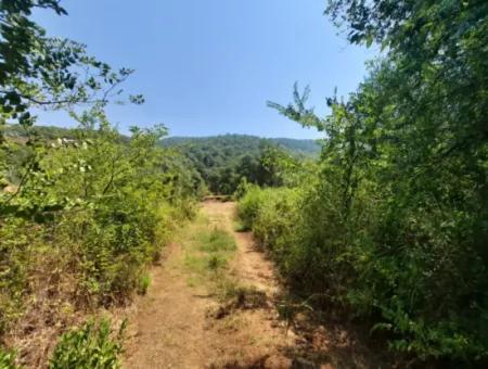 Field For Sale In Muğla Kemaliye 750 M2 And Tiny House