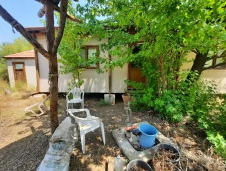 Field For Sale In Muğla Kemaliye 750 M2 And Tiny House