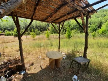 Field For Sale In Muğla Kemaliye 750 M2 And Tiny House