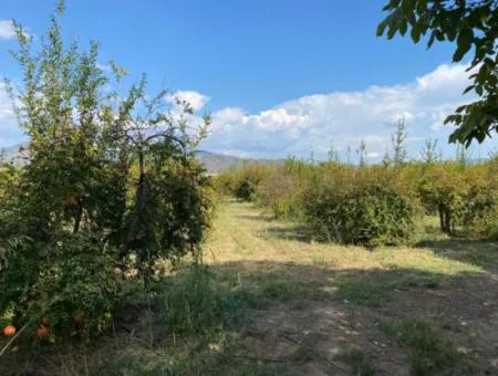 Ortaca Karaburunda 2888M2 Field For Sale