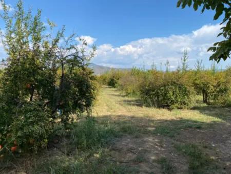 Ortaca Karaburunda 2888M2 Field For Sale