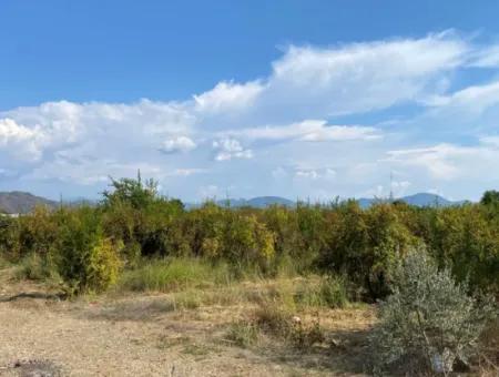 Ortaca Karaburunda 2888M2 Field For Sale