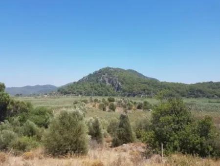 14300 M2 Land Suitable For Investment For Sale In Muğla Ortaca Sarıgerme