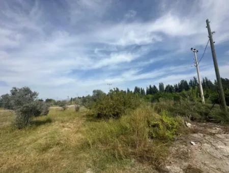 1644 M2, 250 M2 Construction Permit Land For Sale In Ortaca Fevziye