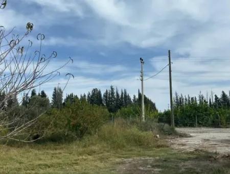 1644 M2, 250 M2 Construction Permit Land For Sale In Ortaca Fevziye