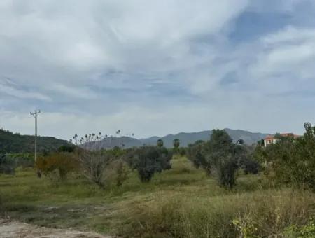 1644 M2, 250 M2 Construction Permit Land For Sale In Ortaca Fevziye